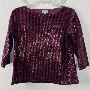 Pure Collection Knit Top Popover Blouse Shirt Sequin Boat Neck Berry Maroon Knit